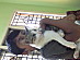 View full size picture