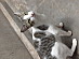 View full size picture
