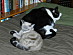 View full size picture