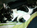 View full size picture
