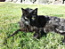 View full size picture