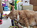 View full size picture