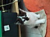 View full size picture