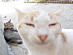 View full size picture