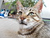 View full size picture