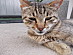 View full size picture