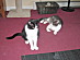 View full size picture