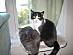 View full size picture