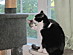 View full size picture