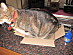 View full size picture
