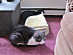 View full size picture