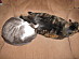 View full size picture
