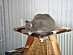 View full size picture
