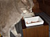View full size picture