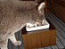 View full size picture