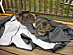View full size picture
