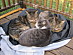 View full size picture