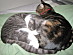 View full size picture