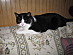 View full size picture