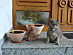 View full size picture