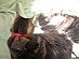 View full size picture