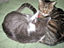 View full size picture