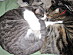 View full size picture