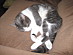View full size picture