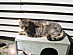 View full size picture