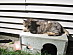 View full size picture
