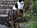 View full size picture