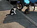 View full size picture