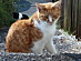 View full size picture