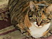 View full size picture