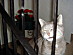 View full size picture