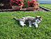 View full size picture