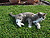 View full size picture