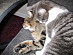 View full size picture