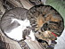 View full size picture