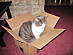 View full size picture