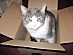 View full size picture
