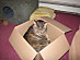 View full size picture