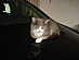 View full size picture
