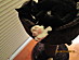 View full size picture