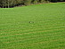 View full size picture