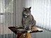 View full size picture