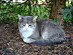 View full size picture