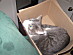 View full size picture