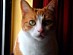 View full size picture