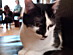 View full size picture